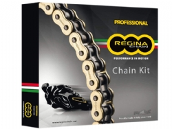 Kit cadena Regina KA025 Aprilia SL 1000 Falco 99-03