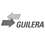 Guilera Electronic