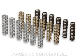 Muelles embrague Malossi 2915602 Yamaha T-Max