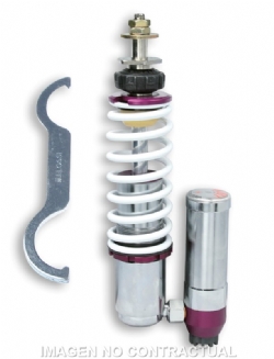 Amortiguador Delantero Malossi RS2410 Skipper Zip SP 468298