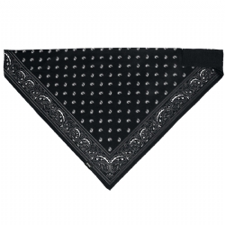 Bandana ZAN Headgear SportFlex Series Negra Paisley BL101