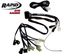 Cableado Rapid Bike Evo/Racing F27-ER-108 Honda VFR 800 V-Tec