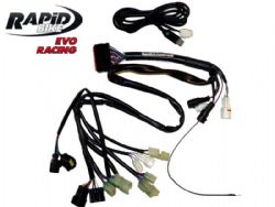 Cableado centralita Rapid bike F27-ER-149