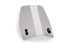 Carenabris Urban Puig 22452H QJ LTR 125 2025 Ahumado Claro