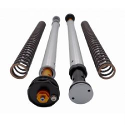 Kit cartuchos Andreani Misano EVO 105/H57E Honda CRF300L 2020-2022