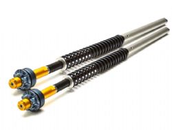 Cartuchos horquilla Andreani 105/T04E