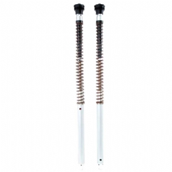 Cartuchos horquilla Ohlins FKA 115 NIX30A Aprilia TUAREG 660 2022-25 Muelles no incluidos