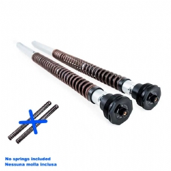 Cartuchos horquilla Ohlins FKA 124 NIX30 CF Moto 800MT-X 2025-2026 Muelles no incluidos - foto 5 Cartuchos horquilla Ohlins FKA 124 NIX30 CF Moto 800MT-X 2025-2026 Muelles no incluidos - foto 5