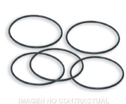 Correas 5 Recambio Bomba Agua 614665