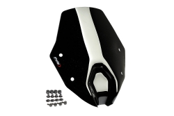 Cúpula Puig 3623N Bmw R1250R 2019