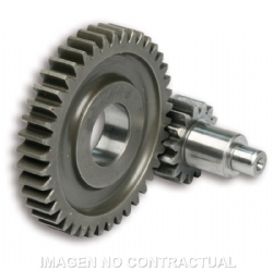 Desarrollo Secundario Motor Minarelli 50 6714774