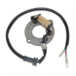 Estátor Electrosport ESC1631 Honda CR 80 R