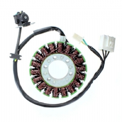 Estátor Electrosport ESG113 Kawasaki Ninja 300