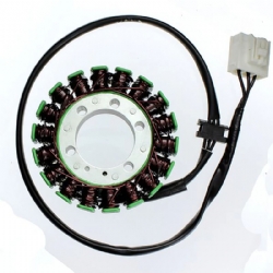 Estátor Electrosport ESG138 