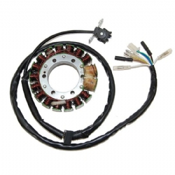 Estátor Electrosport ESG443 XR650R 00-07