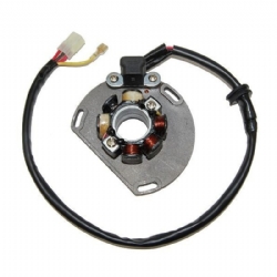 Estátor con bobina de encendido Electrosport ESL239 KTM