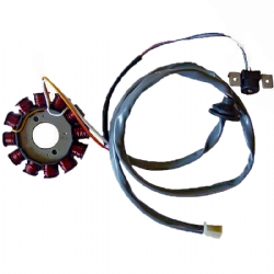 Estator moto SGR 04163073 12 Polos con pick-up 2 cables Motor Yamaha 50 2T Euro 2