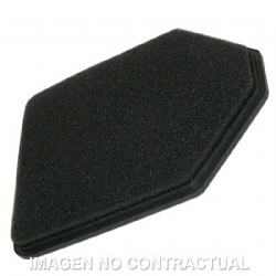 Filtro aire Meiwa Ducati Multistrada 1100