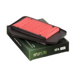 Filtro aire Hiflofiltro HFA1113