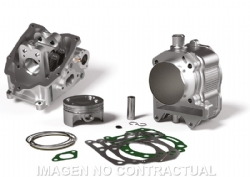 Grupo térmico Malossi Piaggio 250 4T 3117542