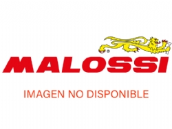 Guías variador Malossi 3715453