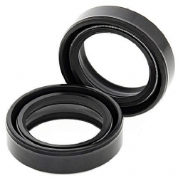 Kit retenes horquilla All Balls 55-102