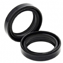 Kit retenes horquilla All Balls 55-109