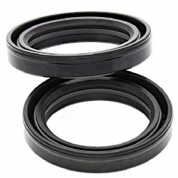 Kit retenes horquilla All Balls 55-110