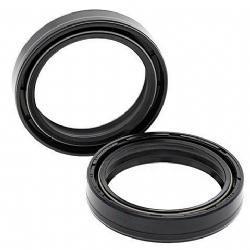 Kit retenes horquilla All Balls 55-124