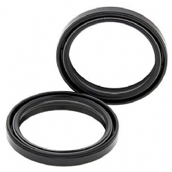 Kit retenes horquilla All Balls 55-146