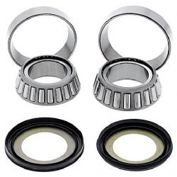 Kit rodamientos y retenes direccion All Balls 22-1070