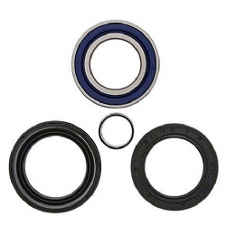 Kit rodamientos rueda All Balls 25-1005