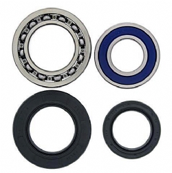 Kit rodamientos rueda All Balls 25-1014