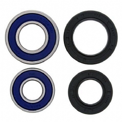 Kit rodamientos rueda All Balls 25-1035