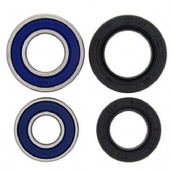 Kit rodamientos rueda All Balls 25-1044