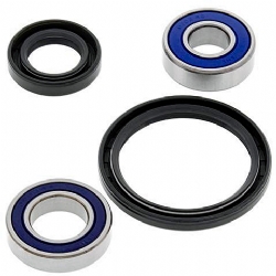 Kit rodamientos rueda All Balls 25-1048
