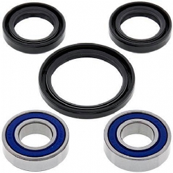 Kit rodamientos rueda All Balls 25-1052
