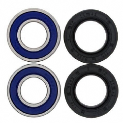 Kit rodamientos rueda All Balls 25-1070
