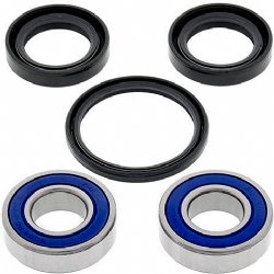 Kit rodamientos rueda All Balls 25-1077