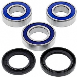 Kit rodamientos rueda All Balls 25-1111