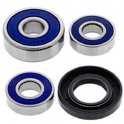 Kit rodamientos rueda All Balls 25-1185