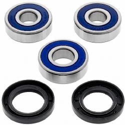 Kit rodamientos rueda All Balls 25-1258