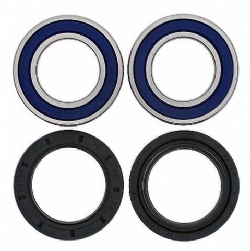 Kit rodamientos rueda All Balls 25-1299