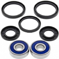 Kit rodamientos rueda All Balls 25-1311