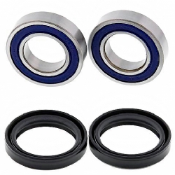 Kit rodamientos rueda All Balls 25-1363