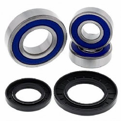 Kit rodamientos rueda All Balls 25-1393