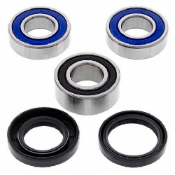 Kit rodamientos rueda All Balls 25-1419