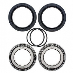Kit rodamientos rueda All Balls 25-1507