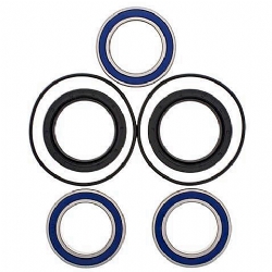 Kit rodamientos rueda All Balls 25-1560
