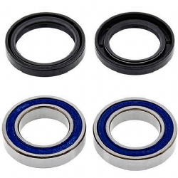 Kit rodamientos rueda All Balls 25-1570